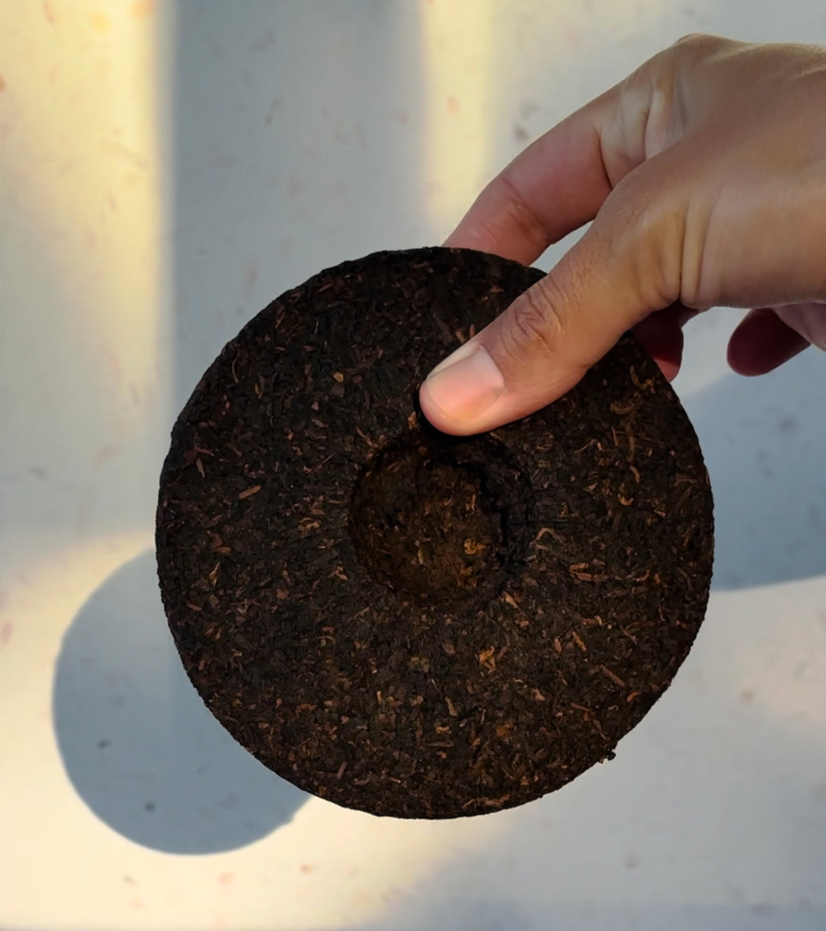 Puerh Cake Mellow Yellow 100g