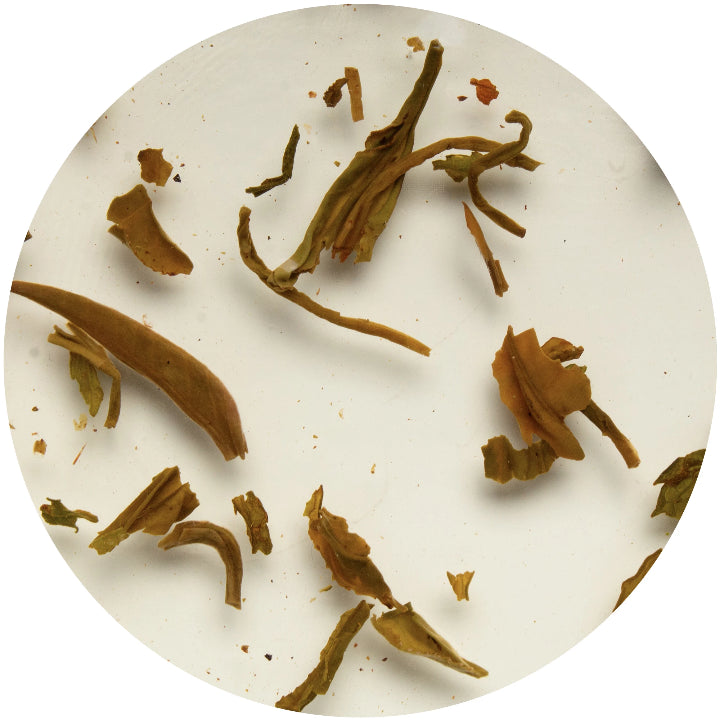 Té verde Bliss infusionado