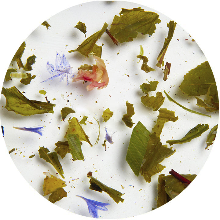 Té verde Jasmine Blues infusionado