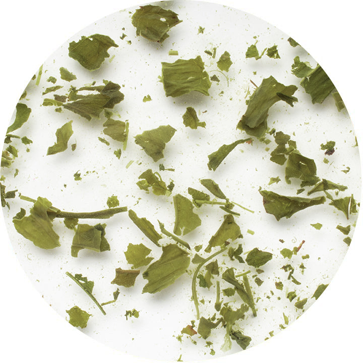 Gyokuro Té verde