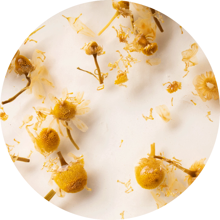 infusiones curativas