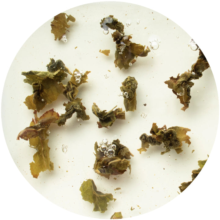 milky oolong té azul