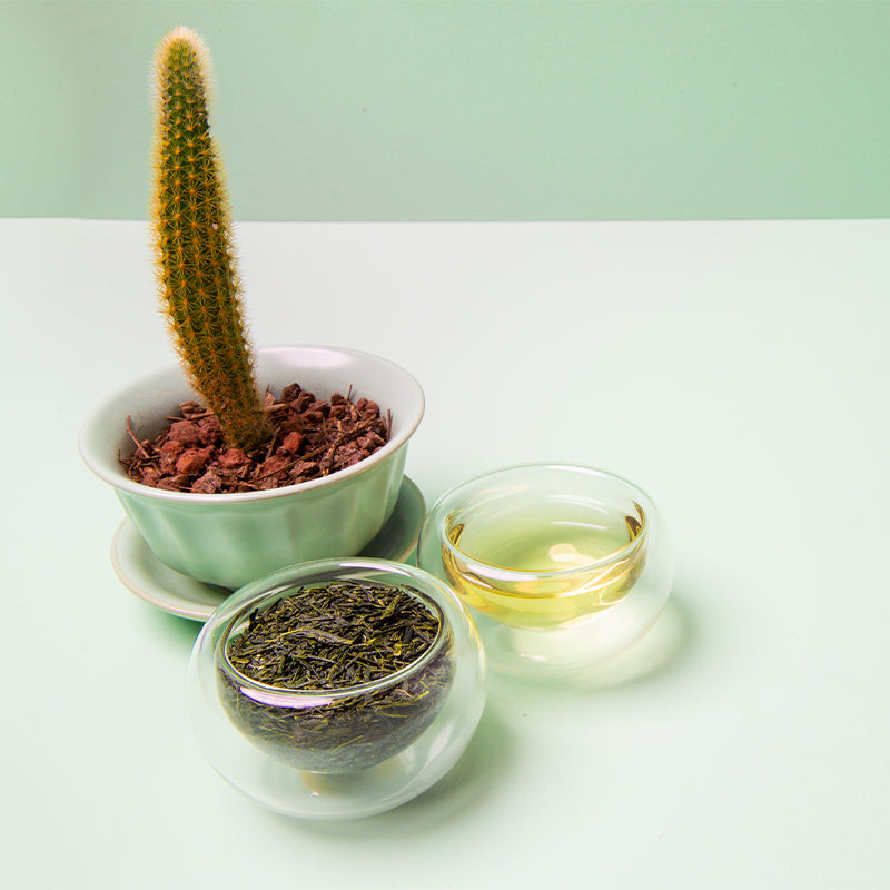 Kit Cool Mom Té en bolista y Té en hebras