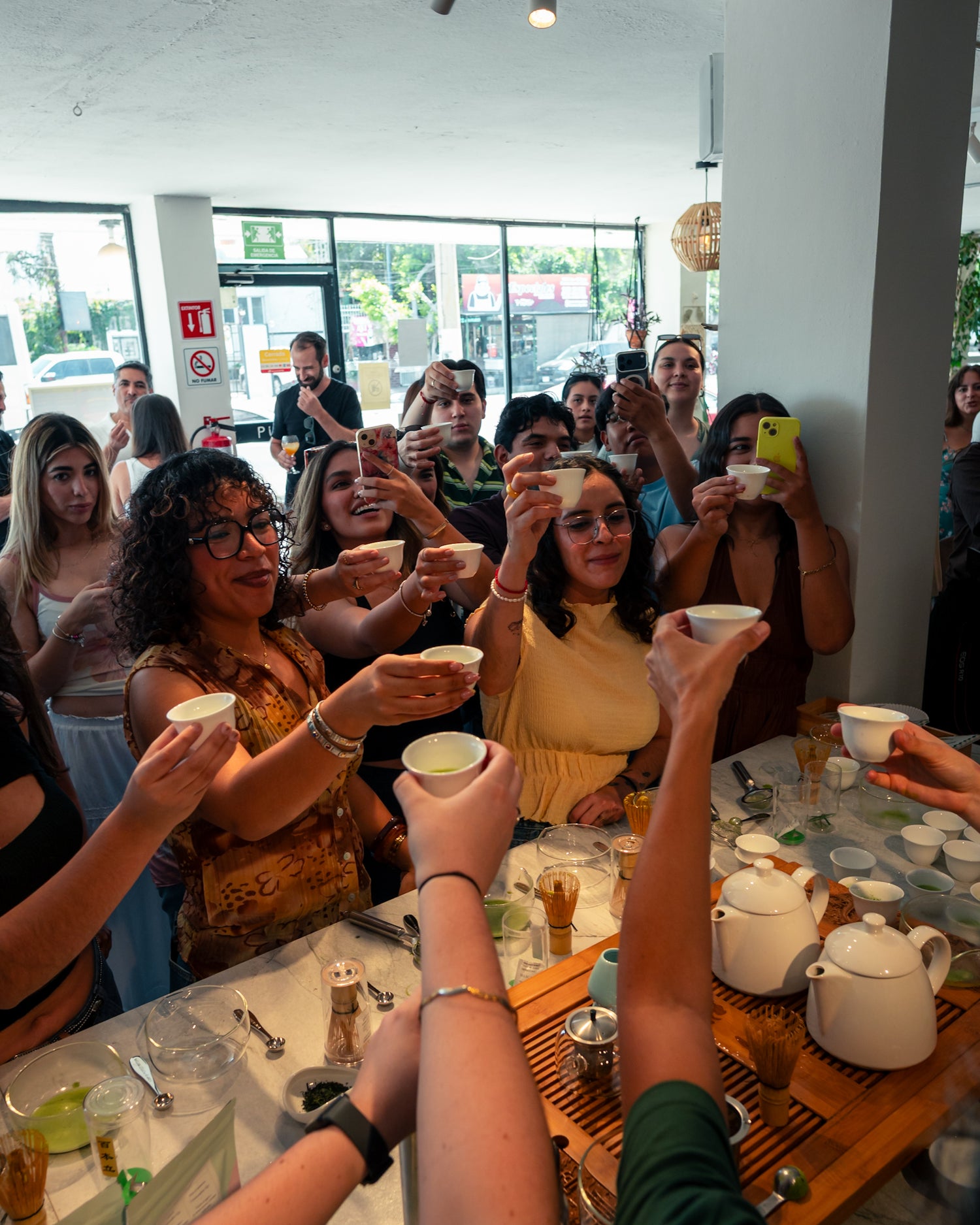 TASTE THE SEASON: Matcha Fest feat. Hojicha