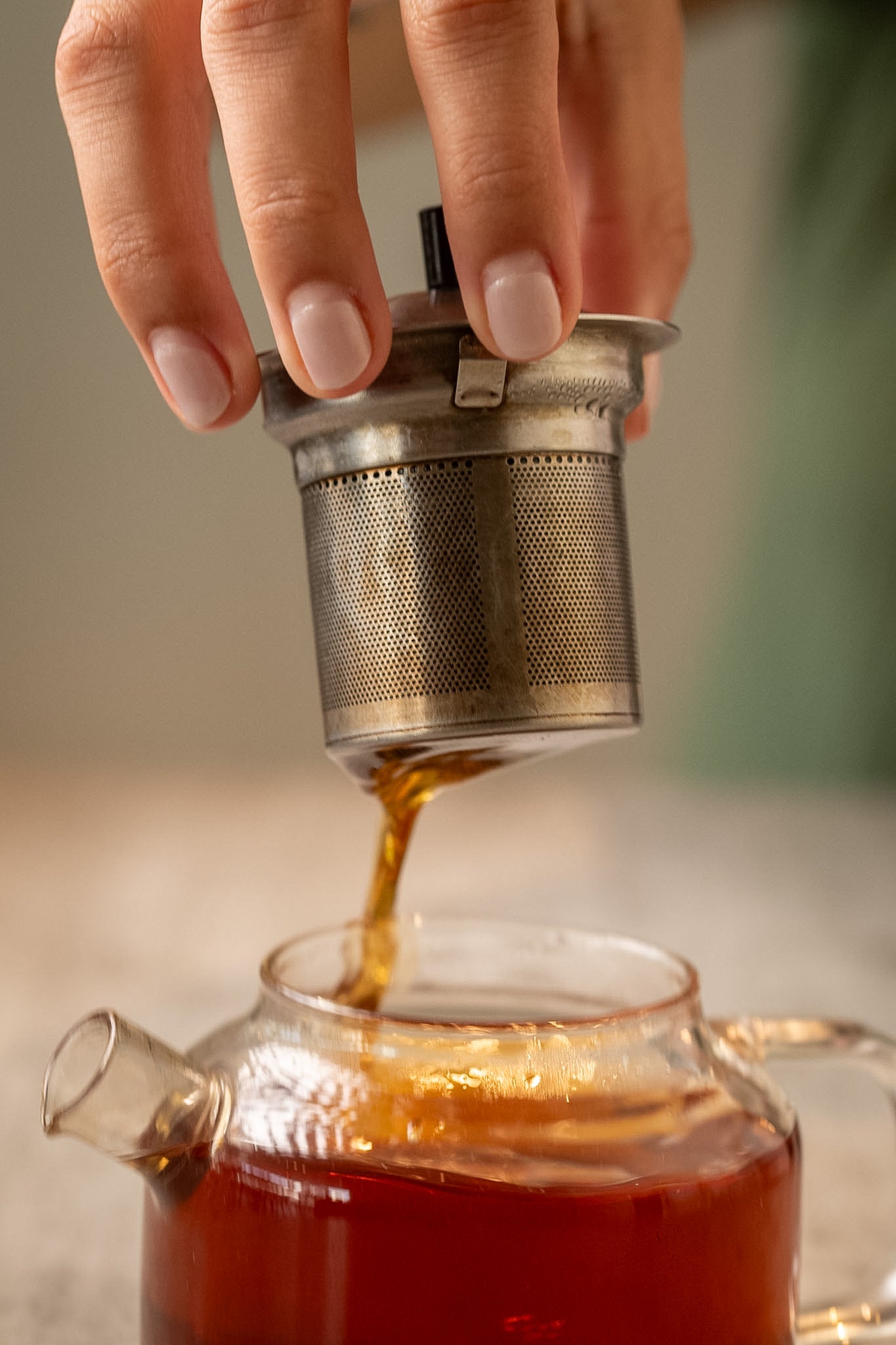 Dark Velvet Té Puerh