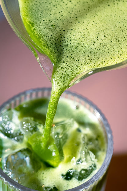 TASTE THE SEASON: Matcha Fest Edition