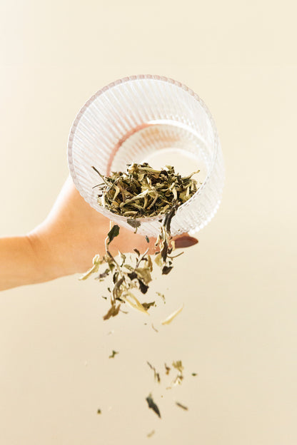 Pai Mu Tan (Bai Mu Dan) Té blanco
