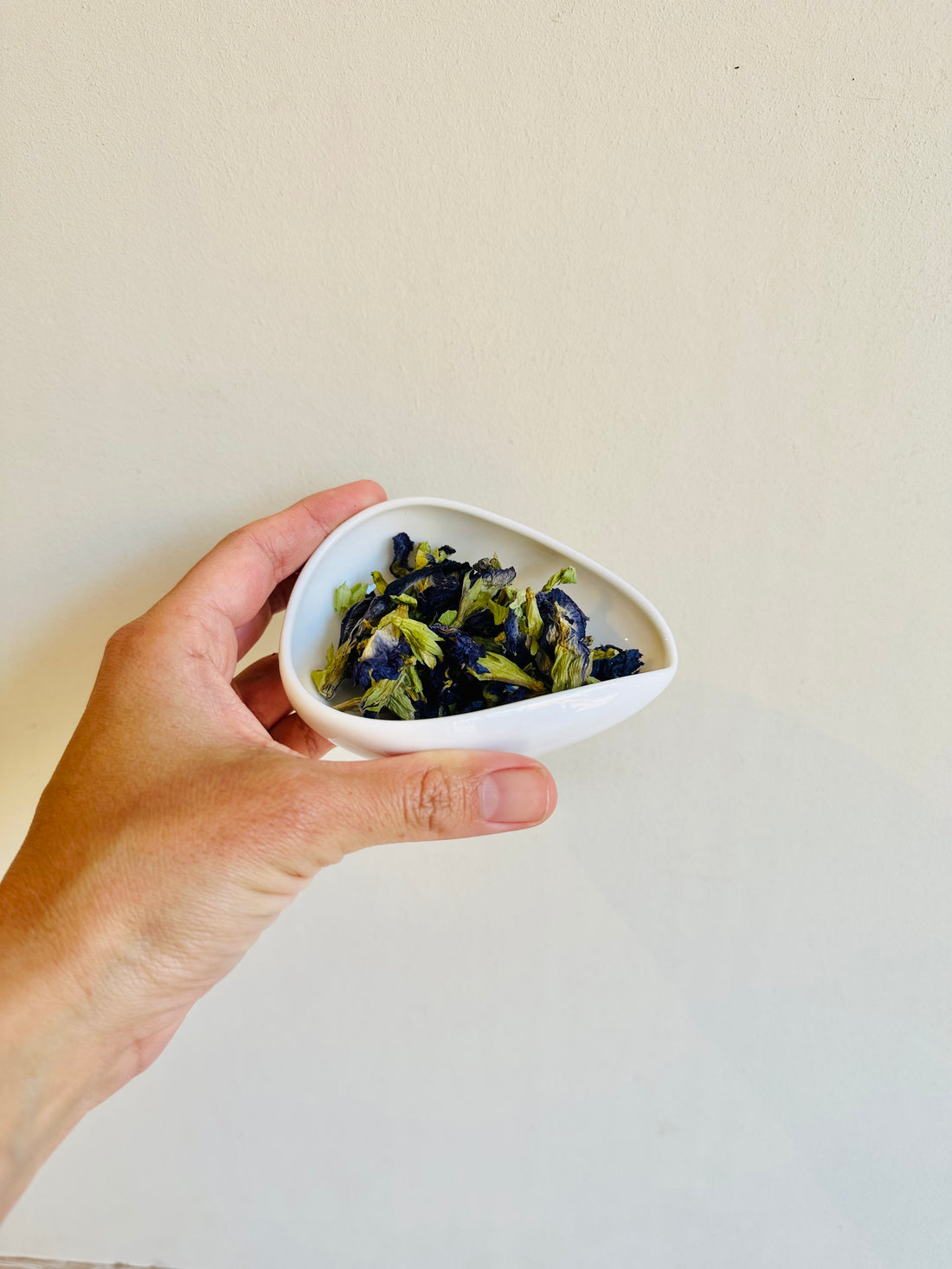 Butterfly Pea Flower